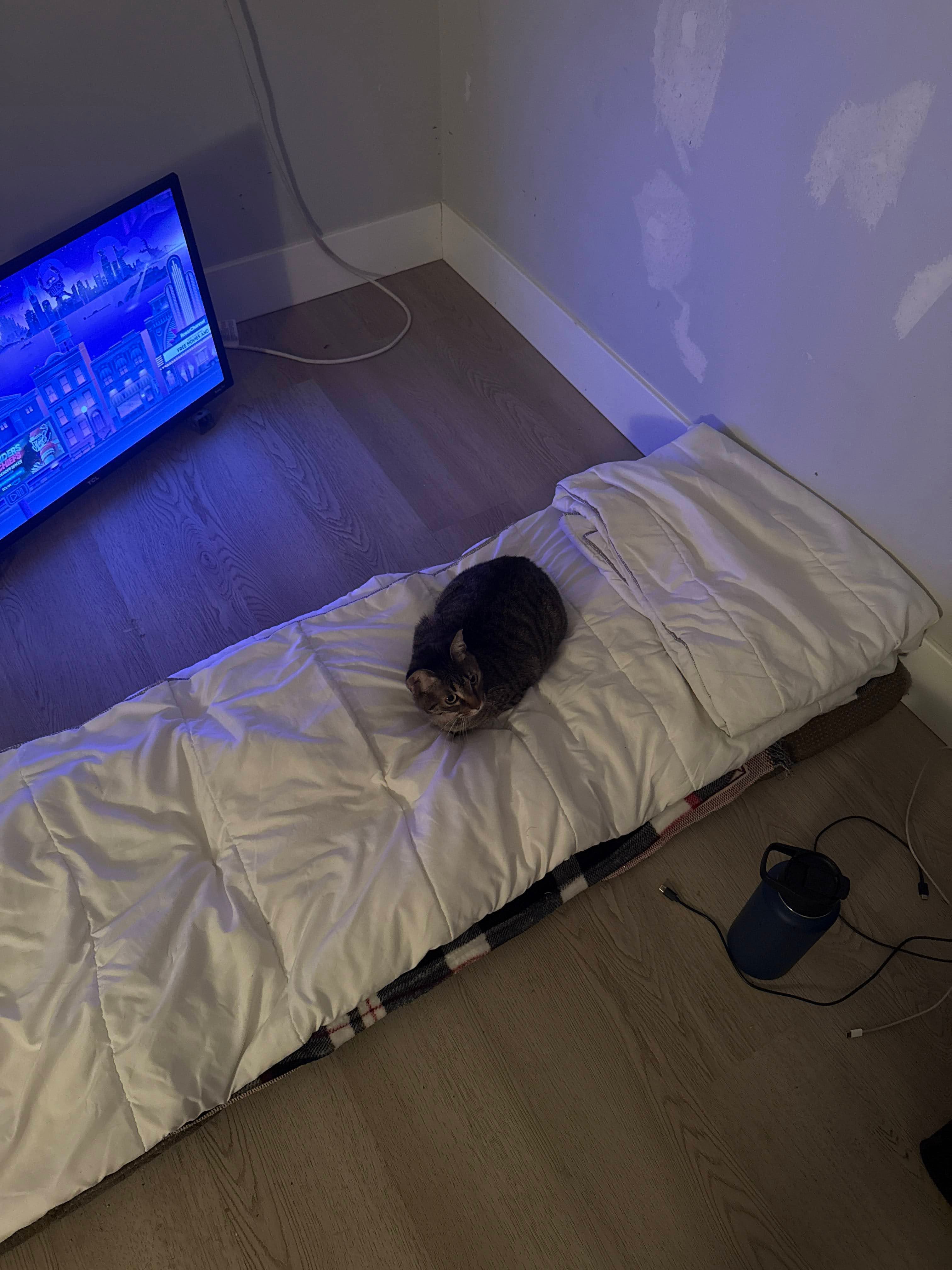 Woto-woto sitting on a bed
