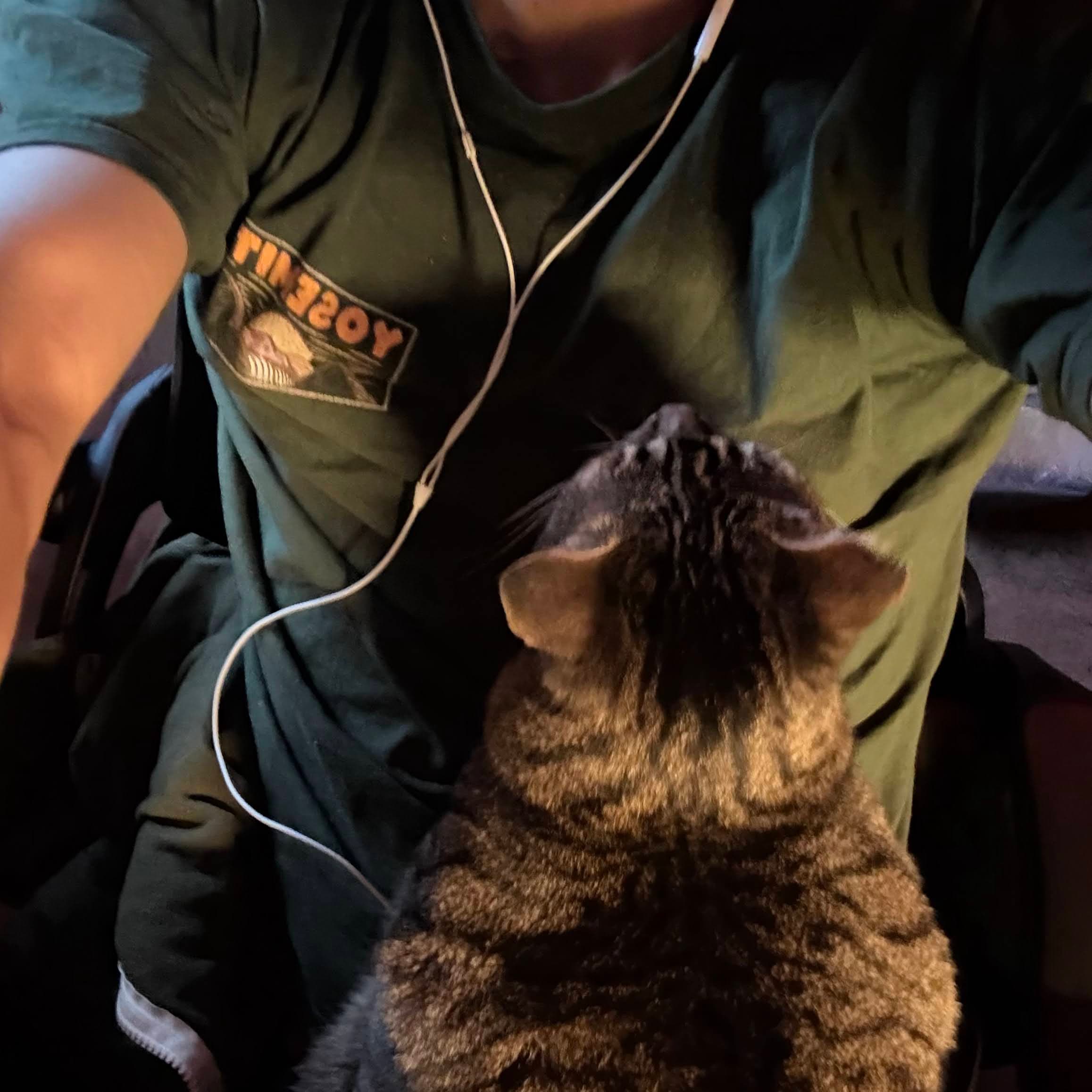 Woto-woto resting on a lap